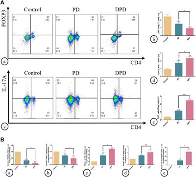 Eldecalcitol effectively prevents alveolar bone loss by partially improving Th17/Treg cell balance in diabetes-associated periodontitis